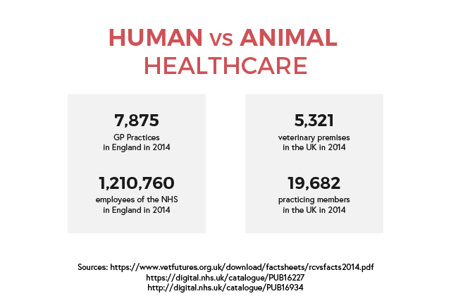 Healthcare Stats