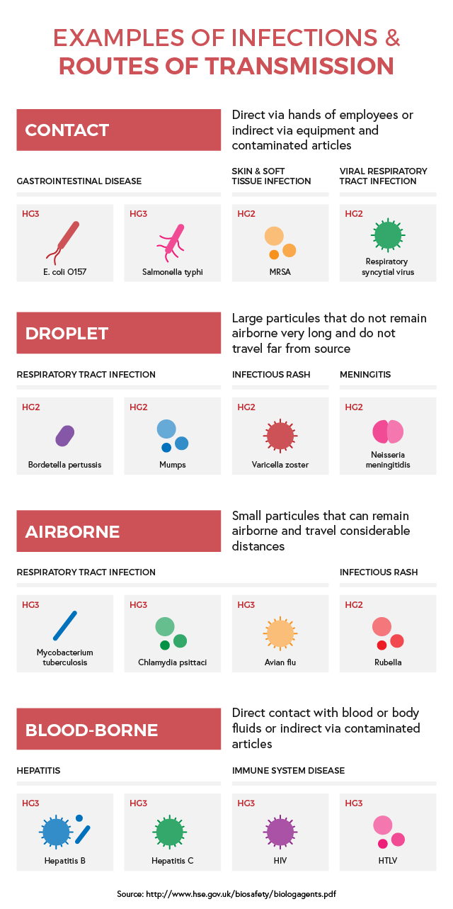 Infection Routes